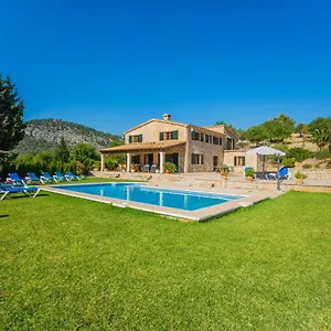 El Olivo Pollensa
